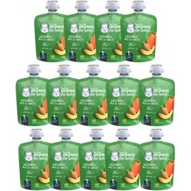 Resim Gerber Organik Muzlu ve Havuçlu Balkabağı Püresi 14 x 90 G 
