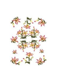 Resim Pirinç Dekopaj Kağıdı Model 77 Karışık 