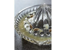 Resim Neonova Cam Limon Sıkacağı 