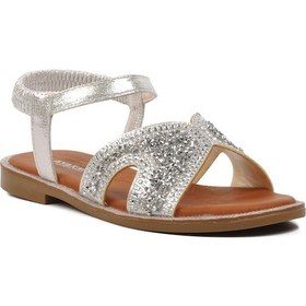 Resim Gümüş Kadın Düz Sandalet 286069 Z Gümüş 