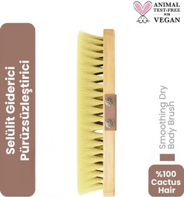 Resim Cosmogenesis Labs Selülit Karşıtı %100 Doğal Kaktüs Kılı Fırça - Ölü Deri Temizleyici Arındırıcı Vegan ve Hayvan Dostu 