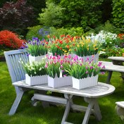 Resim 1 Takım/6 Saksı Şık Yapay Gerçek Dokunuşlu Sabah Çiçeği Simülasyon Buketi, Düğün Parti Ev Bahçe Dekorasyonu Yapay Çiçekler, Çiçek Aranjmanı Yapay Merkezler, Düğün Gelin Nişan Duş Bekarlık Yıldönümü Parti Malzemeleri, Ev Dekorasyonu, Bahçe Dekorasyonu 