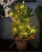 Resim Yılbaşı Ağacı Led Işıklı Yapay Çam Ağacı Kraft Saksıda 55cm 