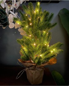 Resim Yılbaşı Ağacı Led Işıklı Yapay Çam Ağacı Kraft Saksıda 55cm 