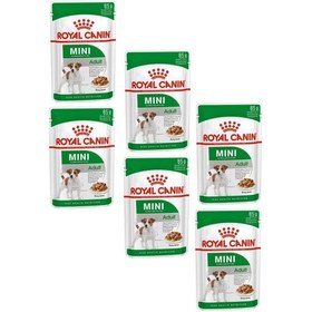 Resim Royal Canin Mini Adult Soslu Konserve Küçük Irk Yetişkin Köpek Maması 6 x 85 G 