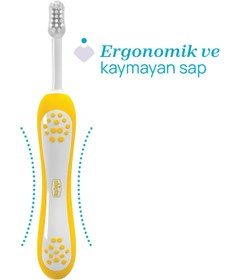 Resim Chicco 2'Li Diş Fırçası 6-36 Ay - Mavi - İndigo / Standart 