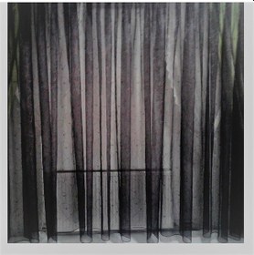 Resim Taç Ince Şeritli Siyah Tül Perde 