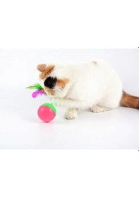 Resim Kedi Fare Hacıyatmaz Oyunu Çok Renkli 
