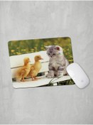 Resim Panorama Ajans Tatlı Yavru Ördek Ve Kedi Veteriner Hediye Mouse Pad 