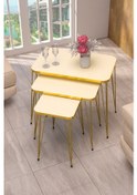 Resim Zigon Sehpa Kr Gold Krem Tel 