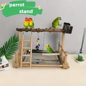 Resim Papağan Standı: Küçük Kümesiyle, Sallanma ve Besleyici ile Küçük Papağanlar için - Lovebirds, Cockatiels ve Budgies için Uygun 