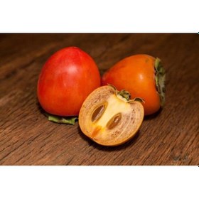 Resim Çikolatalı Trabzon Hurması Diospyros Digyna "black Sapote" 3 