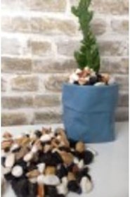 Resim Asenya Renkli Çakıl Taşı 2 Kg 1-2 Cm Saksı Dibi Teraryum Saksı Süs Vazo Dibi Dekoratif Dolomit Taş 