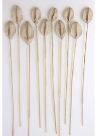 Resim 10lu Tropic Lily Center On Stem 50 Cm Kum Rengi 