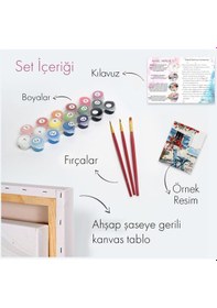 Resim Sayılarla Boyama Seti 40 X 50 Cm Tuval Şasesine Gerili Baykuşlar 