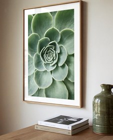 Resim Yeşil Sukulent - Art Print - Photo Pearl / 61x91 cm 