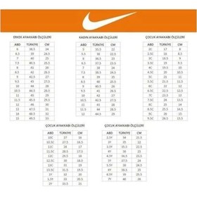 Resim Nike Lebron Witness V Erkek Kırmızı Basketbol Ayakkabısı 