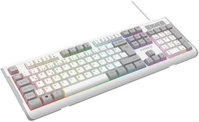 Resim Everest KB-74 USB Rainbow Aydınlatmalı Q Membrane Multıemdya Gaming Oyuncu Klavyesi (Beyaz Gri) 