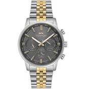 Resim Slazenger Sl.09.2453.2.06 Quartz Çelik Altın/gri Siyah Kadran 43 Mm Erkek Kol Saati Gri 