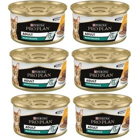 Resim Purina Pro Plan Maintenance Tavuklu Yetişkin Kedi Konservesi 6 x 85 G 