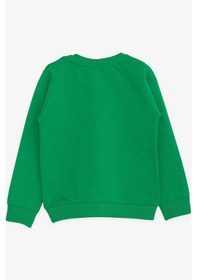 Resim Breeze Erkek Çocuk Explorer Yazılı Dinazor Baskılı Sweatshirt-14677 YESIL 