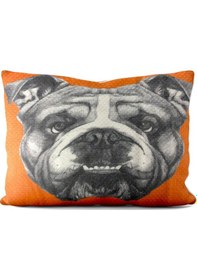 Resim Paradero Bulldog Büyük Yastık Kılıfı 