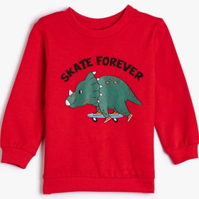 Resim Erkek Bebek Dinozorlu Sweatshirt Uzun Kollu Şardonlu Pamuklu Bisiklet Yaka 