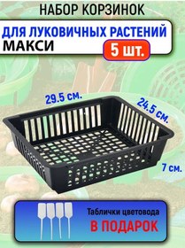 Resim Urozaj Soğanlı Sebzeler İçin Sepette Sepet Maxi 5 Adet Boyut 30x25x7cm 429469075 