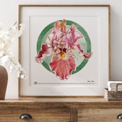 Resim Divine Iris, Poster 