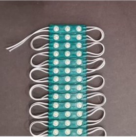 Resim 20 Adet Mercekli Modül Led Yeşil 1,2w 12volt 