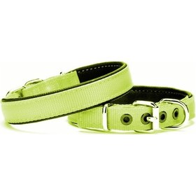 Resim Yumuşak Doku Köpek Boyun Tasması 2/45 CM Yeşil 