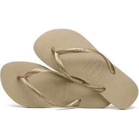 Resim Havaianas Slim Kadın Terlik - Sand Grey/Light Golden Bej 