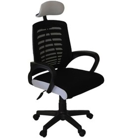 Resim Türksit Karizma File Müdür Koltuğu Plastik Ayak Siyah-beyaz Siyah - Beyaz 