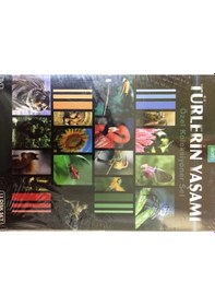 Resim Dvd-Türlerin Yaşamı Özel Koleksiyoner Set 13 Dvd 