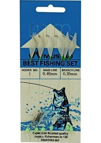 Resim Mustad Best Fishing Set 0,40 0,30 Mm No:1 Çapari 