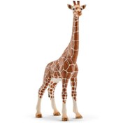 Resim Schleich Dişi Zürafa 14750 
