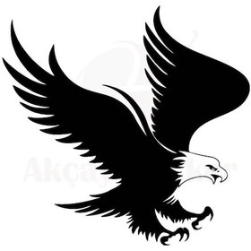Resim Kartal Oto Motor Laptop Duvar Folyo Sticker 10 X 9 Cm 