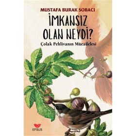 Resim İmkansız Olan Neydi 