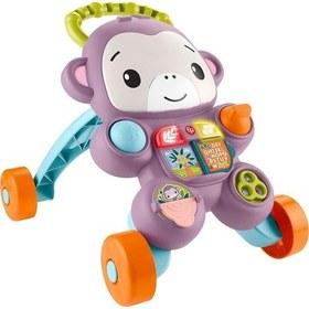 Resim Jgw94 Fisher-price Benimle Öğren Mor Maymun Yürüteç 