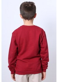 Resim Hçm Erkek Çocuk Şardonlu Sweat Karakter Baskılı Ribanalı E34 Bordo 
