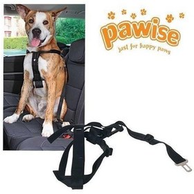 Resim Pawise Emniyet Kemer Tokalı Tasma M 50-70 Cm 