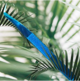 Resim KİRPİKÇİSHOP Özel Üretim Paslanmaz Japon Çeliği Ipekkirpik Cımbızı 