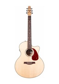 Resim Seagull Performer Cw Mini Jumbo Hg Presys Iı Elektro Akustik Gitar Natural 