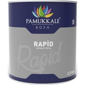 Resim Pamukkale Rapid Boya 2.5 Kg Bayrak Kırmızı Ral 3020 