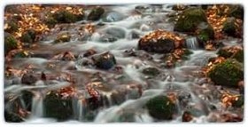 Resim Colorix Carpet Kaymaz Taban Tezgah Önü Mutfak Paspası 75x150 Cm No: 314 