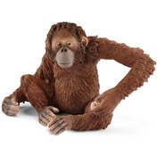 Resim Schleich Dişi Orangutan 14775 
