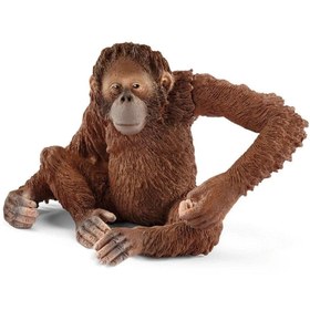 Resim Schleich Dişi Orangutan 14775 
