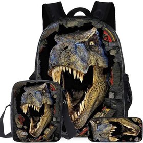 Resim Vshop 16 Inç Çocuk Dinozor Baskılı Üç Parça Sırt Çantası Seti - Siyah (Yurt Dışından) 