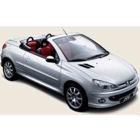 Resim Coil-Ex Peugeot 206 06.1999-Sonrası Spor Yay 35 Mm 