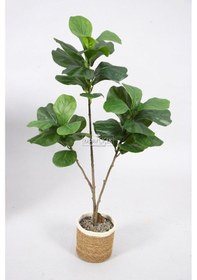 Resim Yapay Ağac Keman 3 Gövdeli 105 Cm Hasır Saksılı 